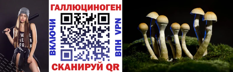 Псилоцибиновые грибы мицелий  купить   Лесной 